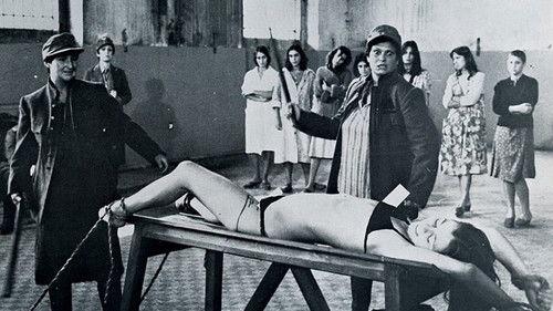 Nazi Love Camp 27 filmas žiurėti online