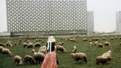 Liebe, so schön wie Liebe filmas žiurėti online