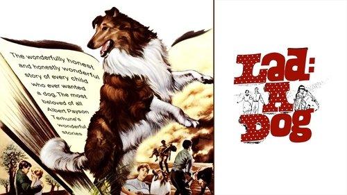 Lad: A Dog filmas žiurėti online