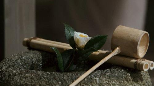 Ask This of Rikyu filmas žiurėti online