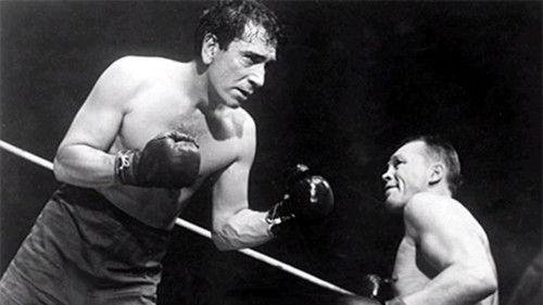 The Fighter filmas žiurėti online