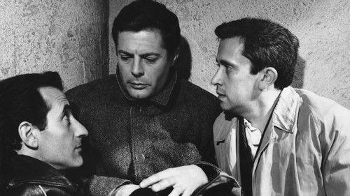 L'assassino filmas žiurėti online