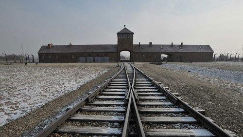 Születési helye: Auschwitz filmas žiurėti online