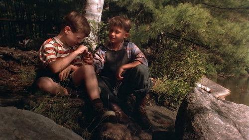 Looking for Miracles filmas žiurėti online