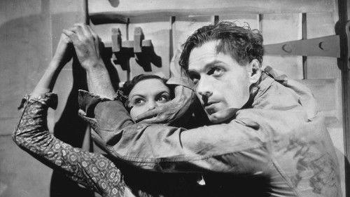 A Cottage on Dartmoor filmas žiurėti online