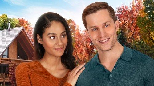 Love at Look Lodge filmas žiurėti online