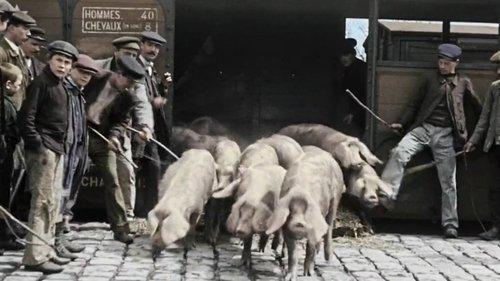 Nous paysans filmas žiurėti online