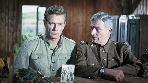 Wilcze echa filmas žiurėti online