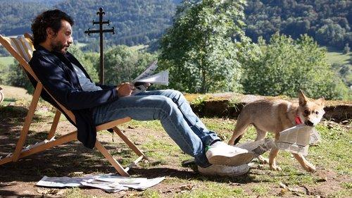 Mano vilkas filmas žiurėti online