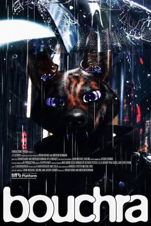 Bouchra filmas online