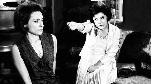 The Gambler filmas žiurėti online