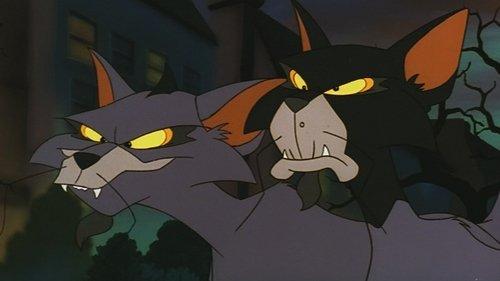 Felidae filmas žiurėti online