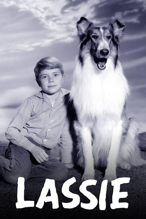 Lassie filmas online