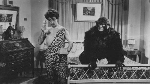 Tototarzan filmas žiurėti online