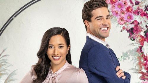 Wedding Cake Dreams filmas žiurėti online