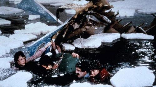 Flight 90: Disaster on the Potomac filmas žiurėti online