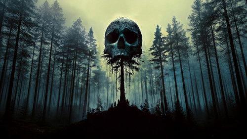 Beyond the Drumlins filmas žiurėti online