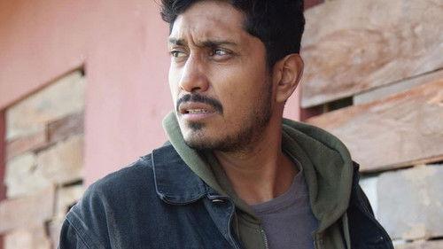 Days of Grace filmas žiurėti online