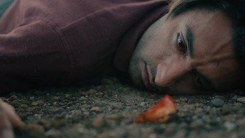 Karganın Uykusu filmas žiurėti online