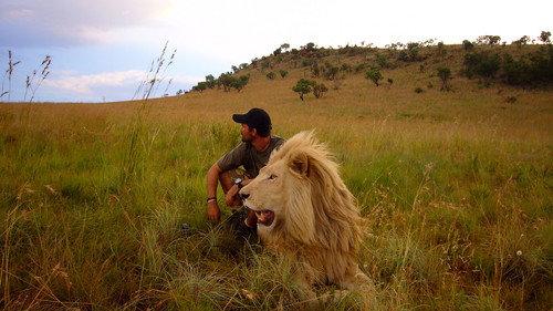 African Safari filmas žiurėti online