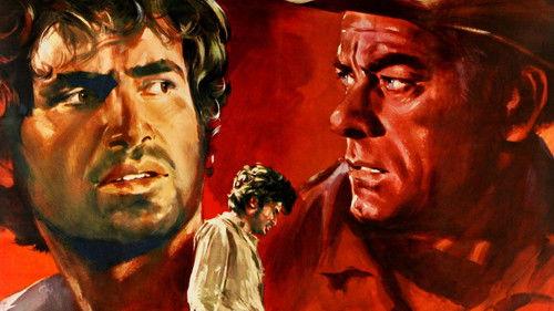 Odio per odio filmas žiurėti online