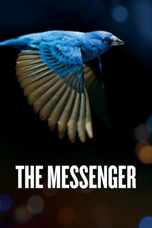 The Messenger filmas online