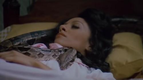 The House on Skull Mountain filmas žiurėti online