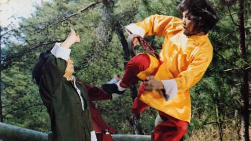 Eagle vs. Silver Fox filmas žiurėti online