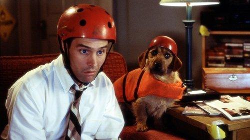 Frank McKlusky, C.I. filmas žiurėti online