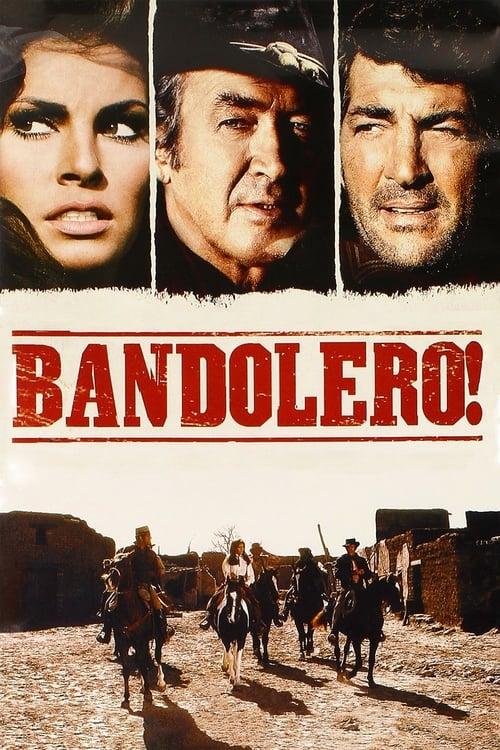 Bandolero! filmas online