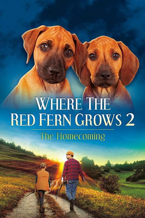 Where The Red Fern Grows Part 2 filmas online