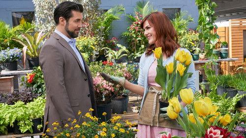 True Love Blooms filmas žiurėti online