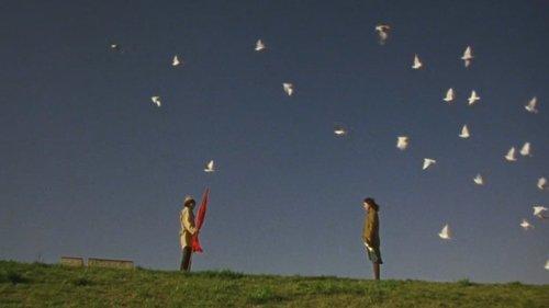 Laundry filmas žiurėti online