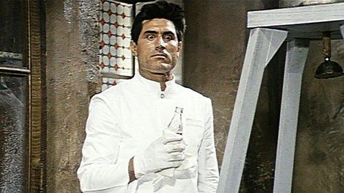 Il domestico filmas žiurėti online