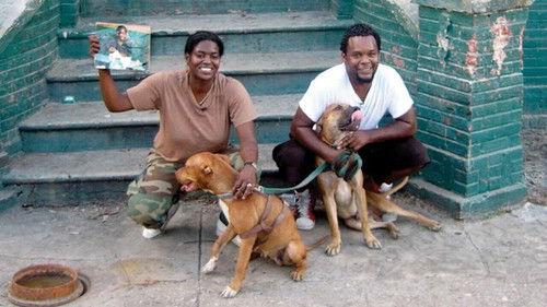 Trouble the Water filmas žiurėti online