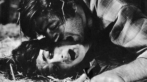 The Fear filmas žiurėti online