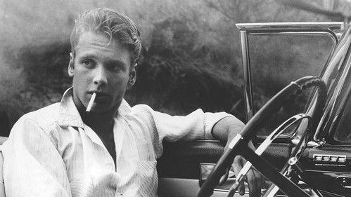 My American Cousin filmas žiurėti online