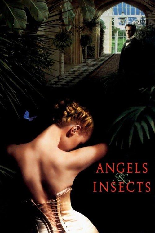 Angels and Insects filmas online