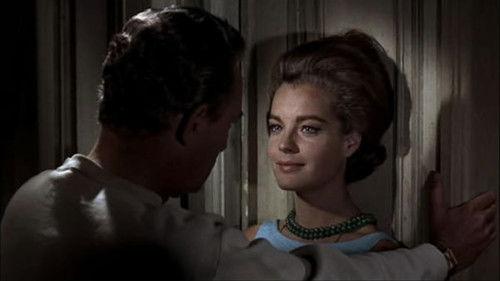 10:30 P.M. Summer filmas žiurėti online