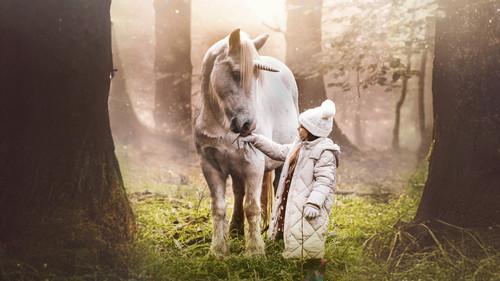 Tale of the Forest Unicorn filmas žiurėti online