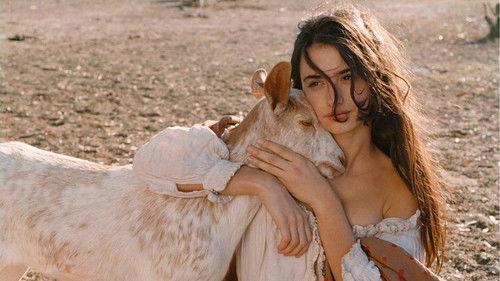 Volavérunt filmas žiurėti online