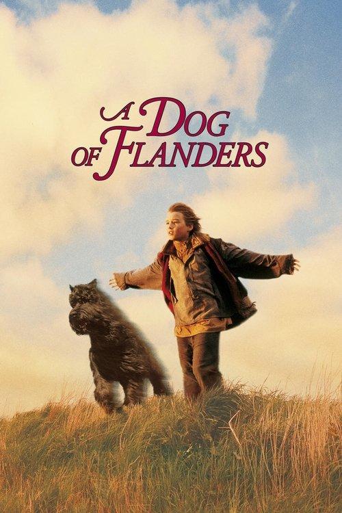 A Dog of Flanders filmas online