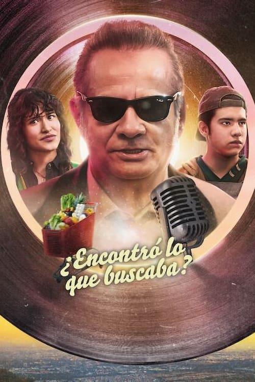 ¿Encontró lo que buscaba? filmas online