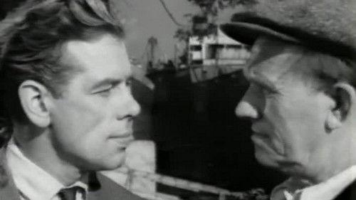 The Alteration Is Correct filmas žiurėti online