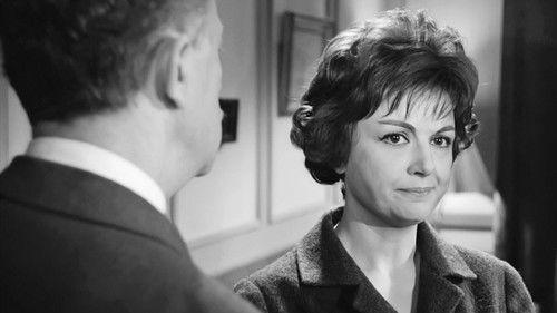 Theodore and the gun filmas žiurėti online