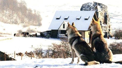 An Ambiguous Report About the End of the World filmas žiurėti online