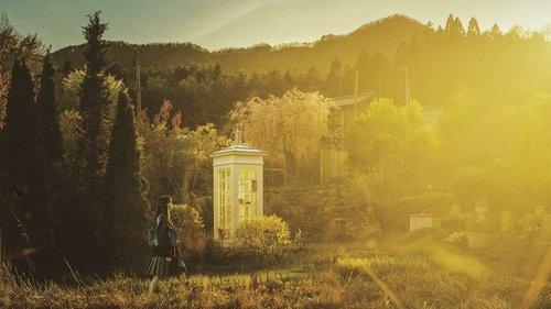 Voices in the Wind filmas žiurėti online