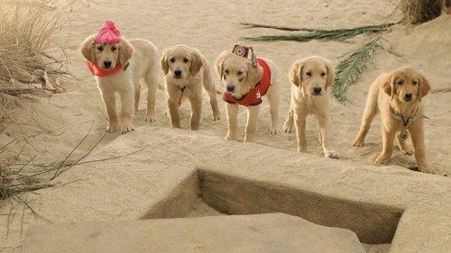 Treasure Buddies filmas žiurėti online