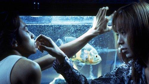 Drowning Fish filmas žiurėti online