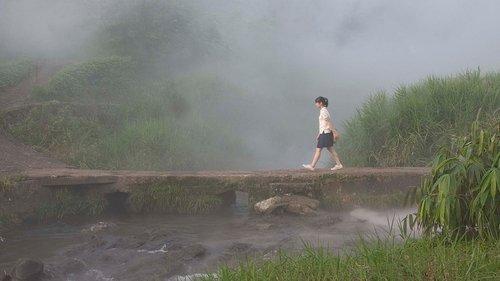 The Buried Forest filmas žiurėti online